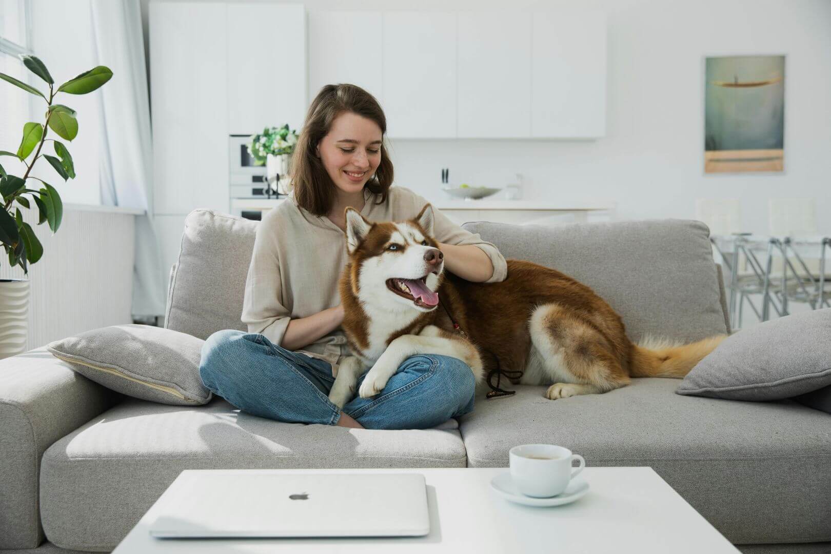 Landlord Pets – Image 1